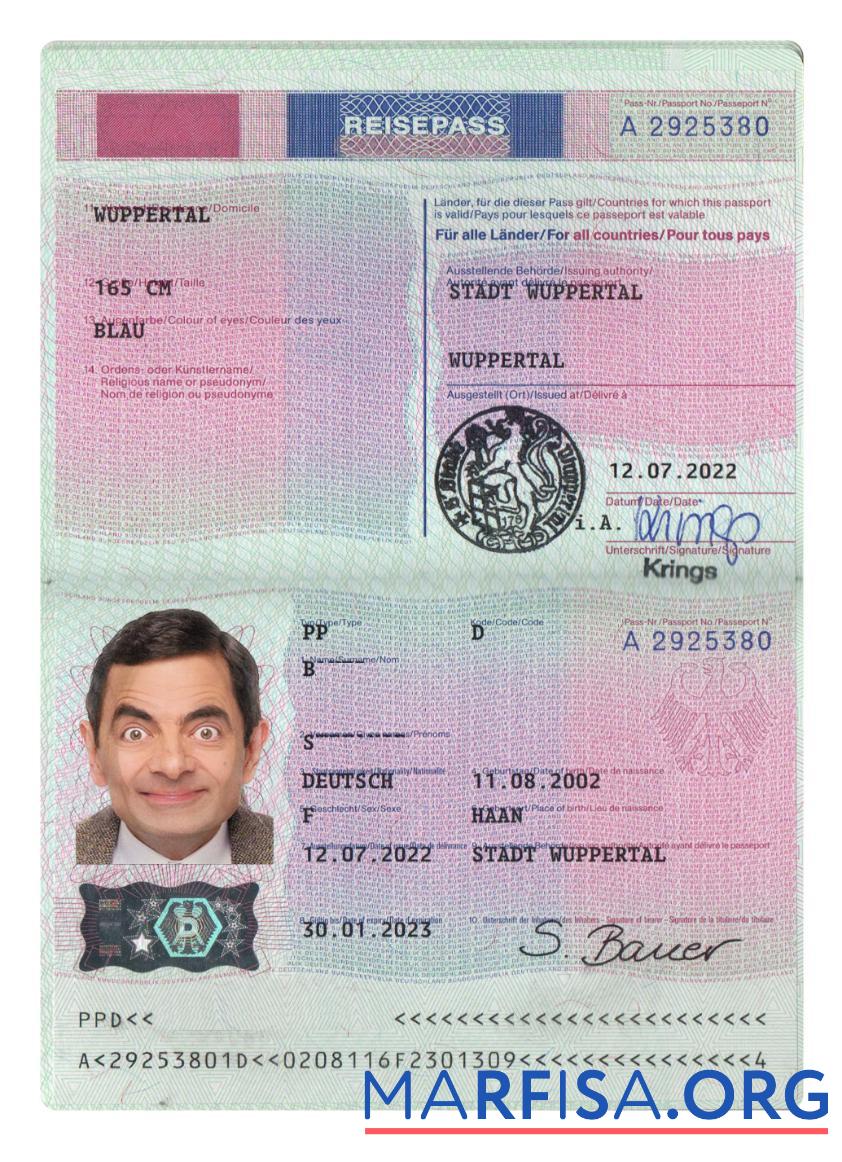 Downloadable Germany passport 2022 present template